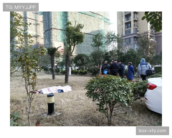 要是托尼娅·哈丁拎着菜篮出现在小区楼下，我肯定站门口盯她半小时
